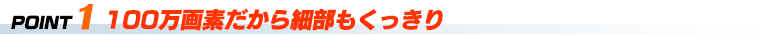 POINT1 100万画素だから細部もくっきり