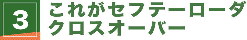 これがセフテーローダ クロスオーバー