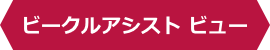 ビークルアシストビュー